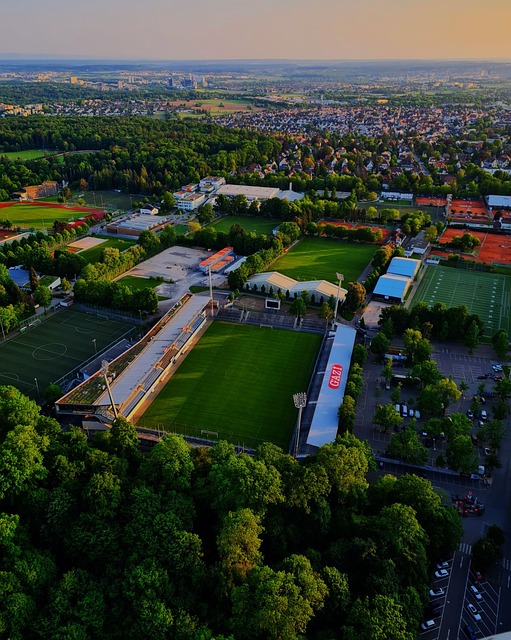 因素仍是影 因素仍是影