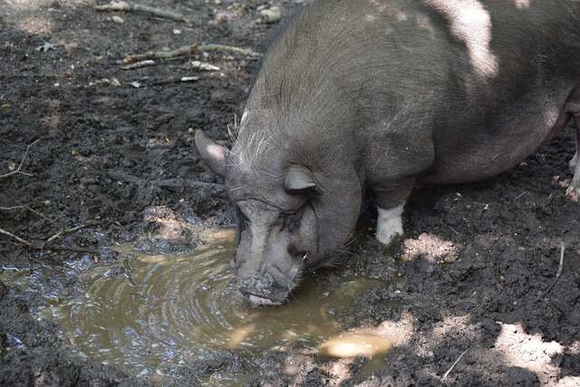 这直接与它 这直接与它