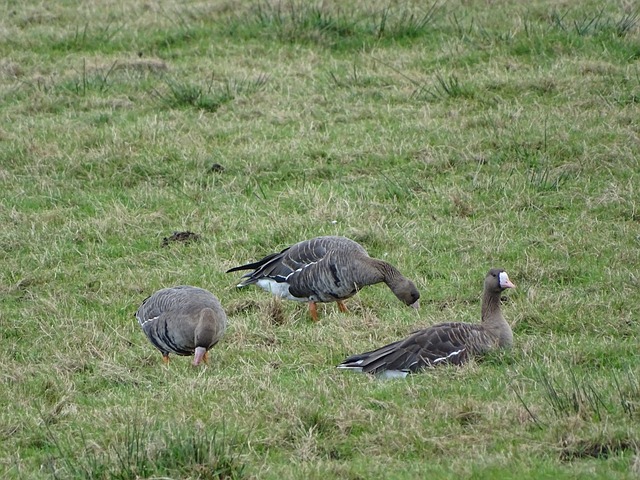 了其更璀璨 了其更璀璨