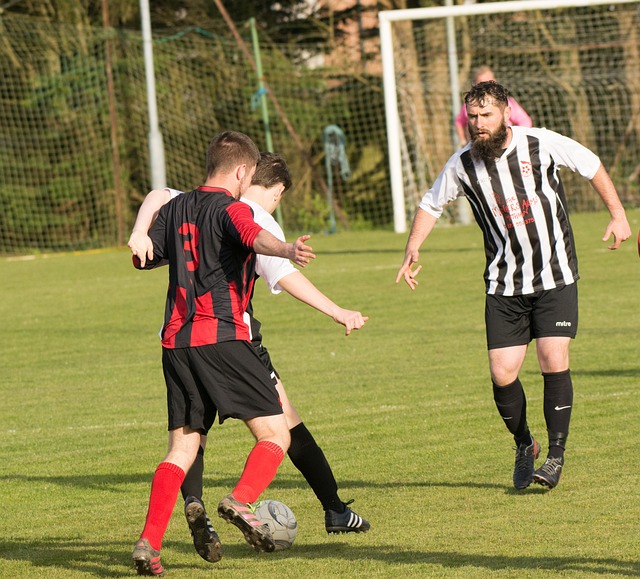 一则新闻 一则新闻